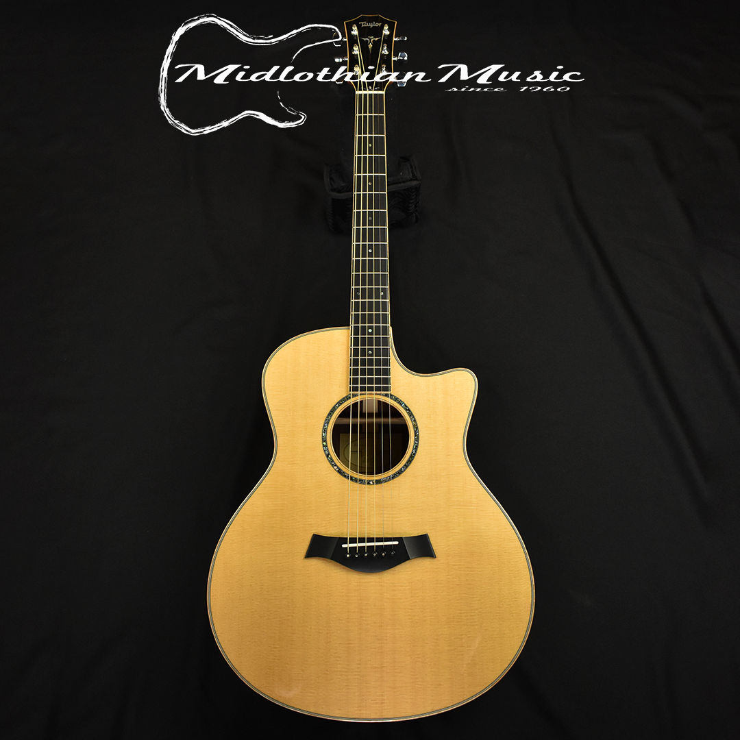 Taylor Build To Order Custom GS Acoustic Electric Guitar w Case