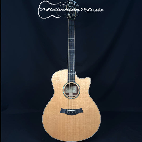 Taylor Build To Order - Custom GS - Acoustic/Electric Guitar w/Case (Rare Madagascar)
