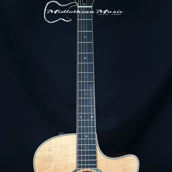 Taylor Build To Order - Custom GS - Acoustic/Electric Guitar w/Case (Rare Madagascar)