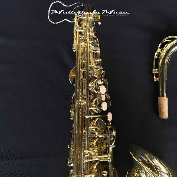 Eastrock - Alto Saxophone Full Kit - For Students/Beginner w/Accessories NEW!