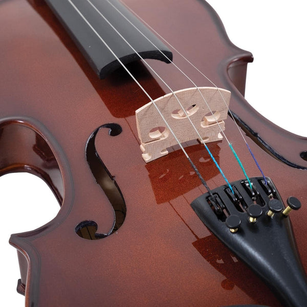 Palatino - VN-350-1/2 - Campus Violin Outfit, 1/2 Size (Bow & Case) w/Free Setup!