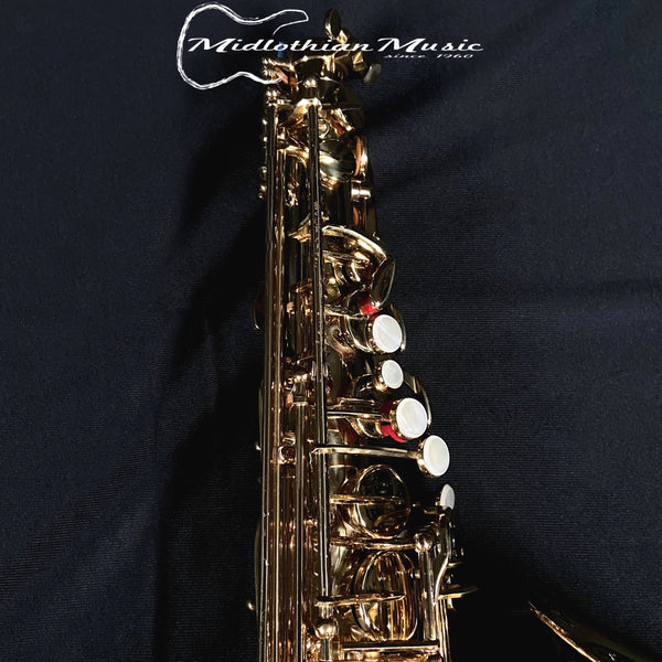 Accent AS710L Pre-Owned Alto Saxophone #SA0038826