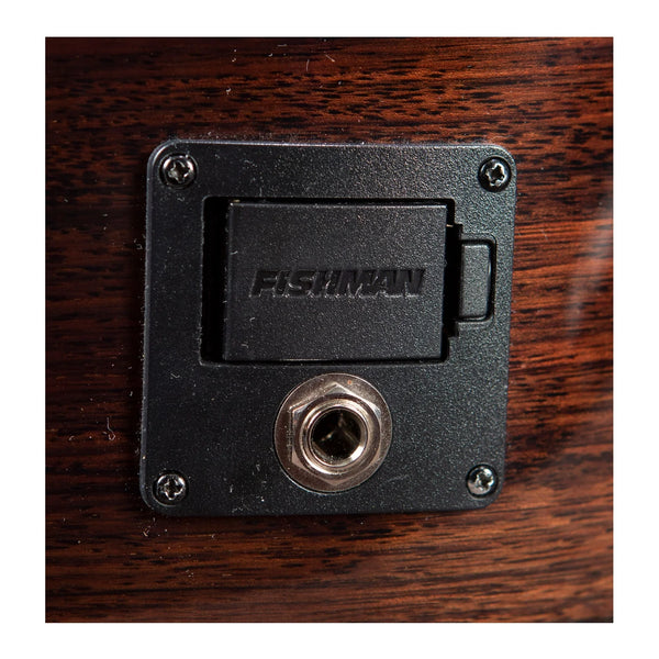 Breedlove Performer Pro Concert T CE - Acoustic Electric Guitar - Tobacco Burst Gloss Finish w/Case