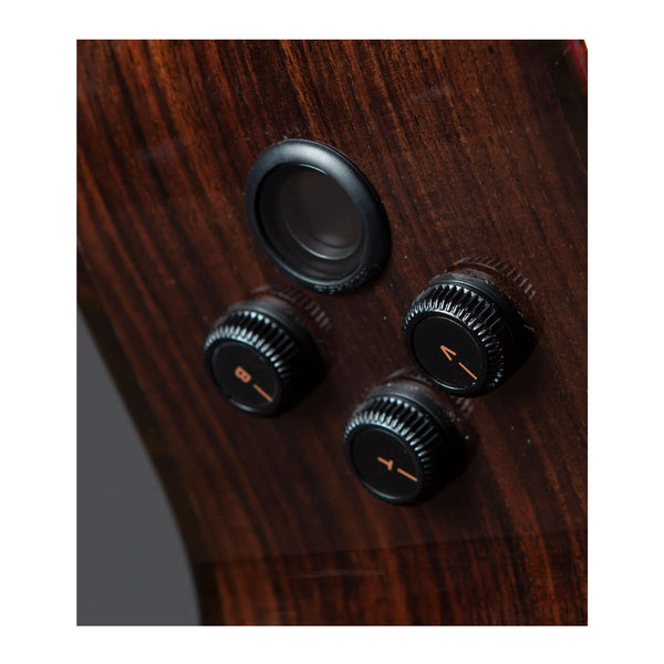 Breedlove Performer Pro Concert T CE - Acoustic Electric Guitar - Tobacco Burst Gloss Finish w/Case