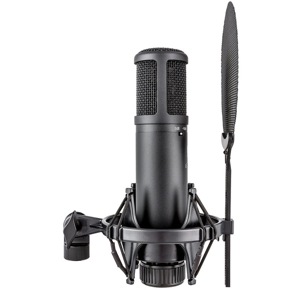 sE Electronics sE2200 Studio Condenser Microphone